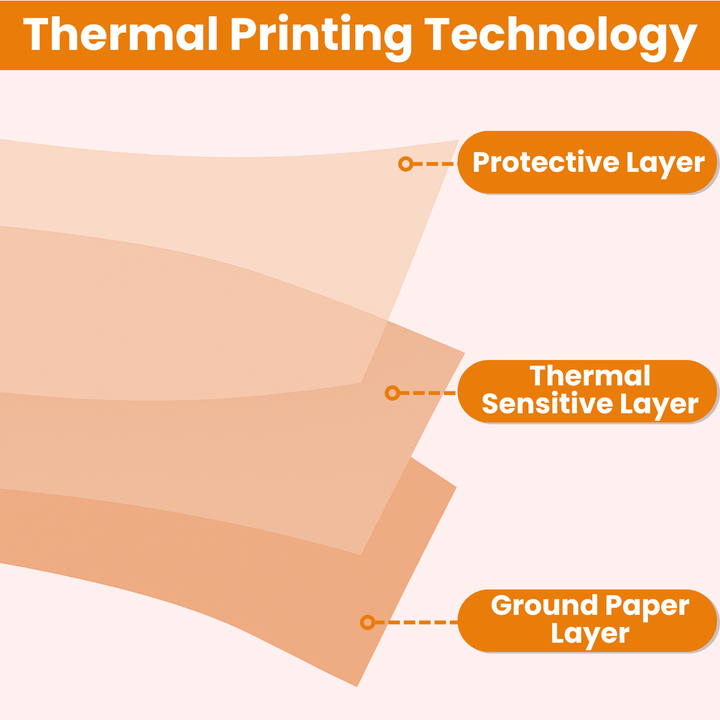 BBliss Premium Thermal Paper Till Rolls 57mm x 40mm (Approx. 10m Length) BPA-Free - 20 Rolls